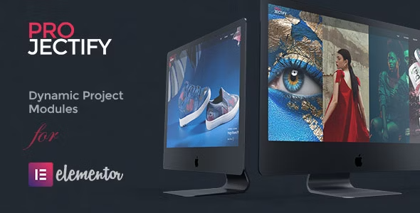 Projectify v2.1 Addon For WP Plugin