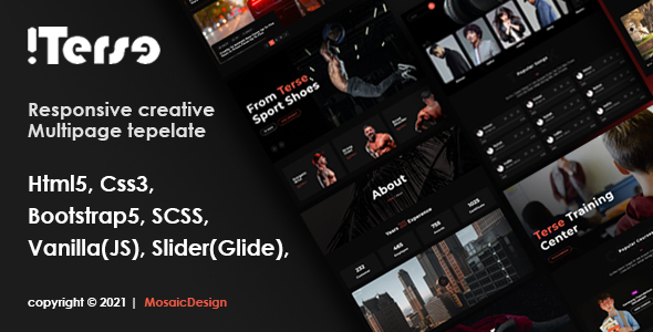 Terse – Creative HTML Template