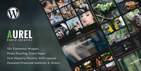 Photography Aurel WordPress Theme